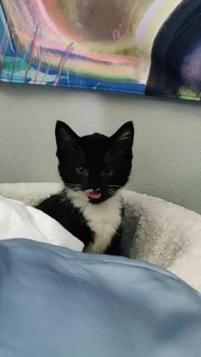 Sir, what do you want?!