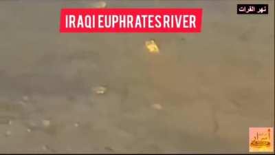 A new clip in the Iraqi Euphrates river shows some #gold-colored stones [21/05/2022]