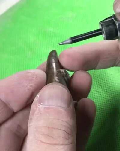 75 million year old serrated Tyrannosaur tooth is prepared for display