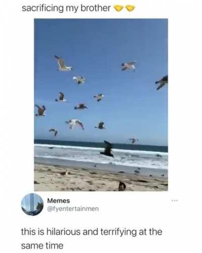 Sacrifices must be made.