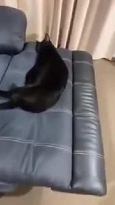 Доброе утро