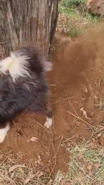 I know who won't be allowed in the house this afternoon.