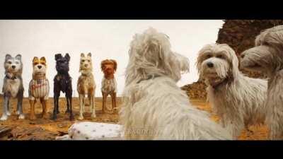 Astolfo is worth it [Fate/Isle Of Dogs]