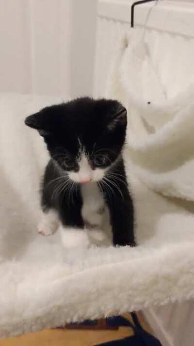 Mishti is learning how to make the best bread and I'm very proud of her!