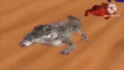 Cocodrilo but its Chris Stanton - Ready Forever