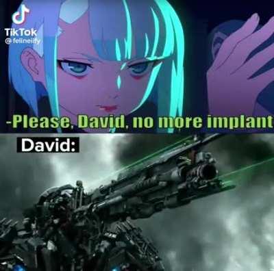 credit : @felineiify on tiktok