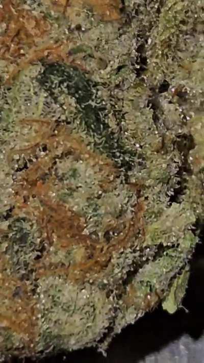 Hope everyone enjoys their 4/20 (1:33 am) 