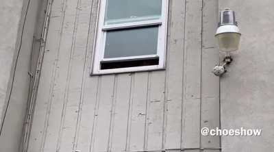 Racist Black woman who told LycheeMarteenee (Asian Woman) to “go eat a dog with rice” is confronted over the matter and has a complete meltdown