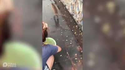 ZargoryanGalaksisi - Video #1396