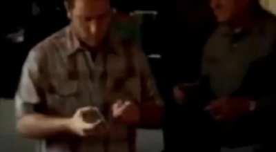 Robado Descaradamente - Tal vez repetido