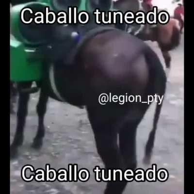 Caballo tuneado