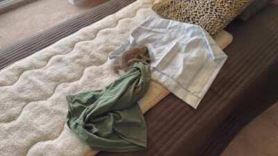 O no, no please, just not my T-shirt!!!!!!!😂😂😂😂😂😂