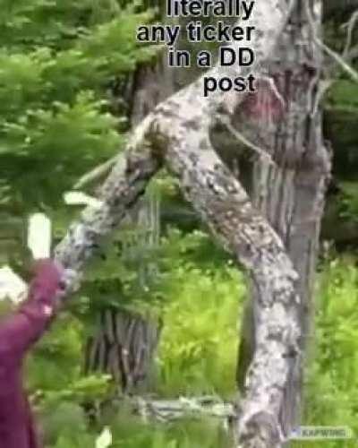 You son of a bitch I'm in