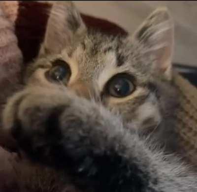 He is just a little baby..