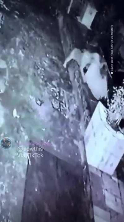 Old lady manages to fight off a leopard