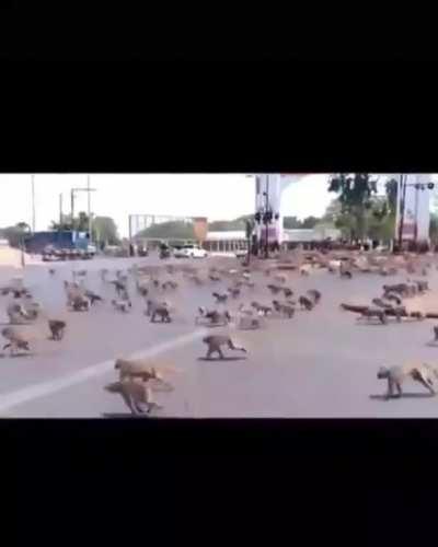 TOP 10 NICARAGÜENSES