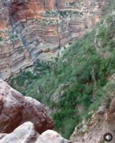 Grand Canyon on a donkey. Nope!