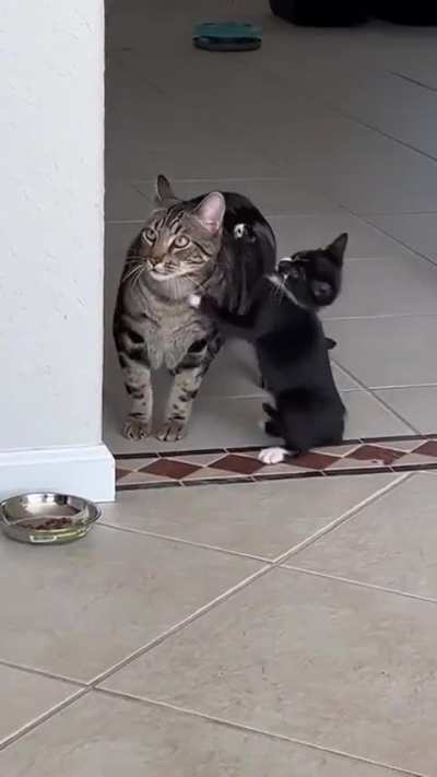 Okaaaaay....you really got me 🙄...