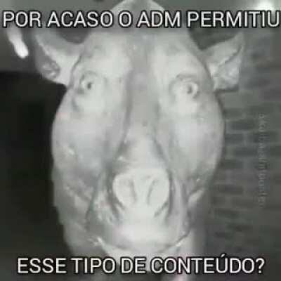 Alguém sabe o link?