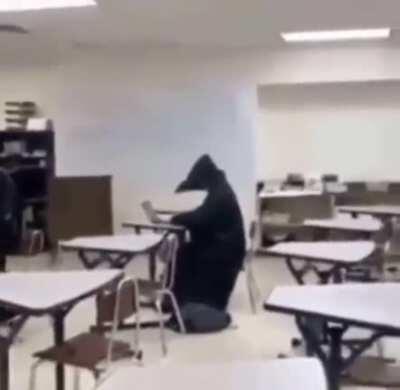 Me hearing a doomed Scorch as a Ronin