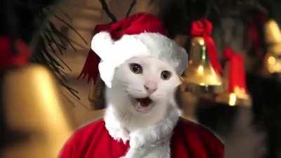 Loserchristmas special