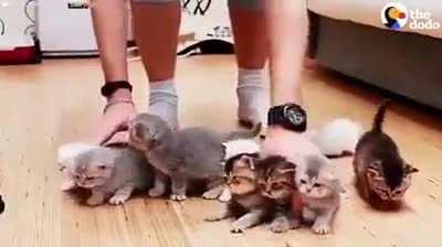 Şu üçünü birden çekmesi en sevdiğim kısım:)