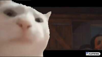 Me when the background music kicks in