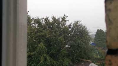 Little clip from my kitchen window this morning.