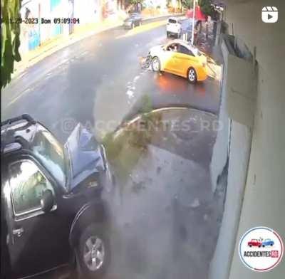 doggo has quick reaction in this truck accident