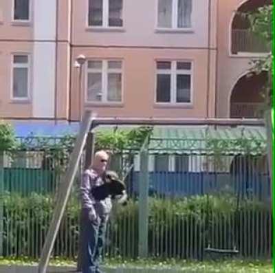 Because it seems everybody likes cats here!