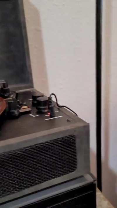 My cat has a favorite album.