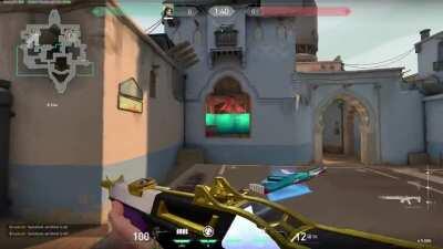 Really difficult, but really stinky sage one-way wall