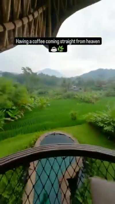 La morning routine de los britanicos