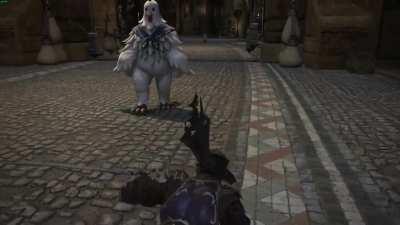 Never should have come here!