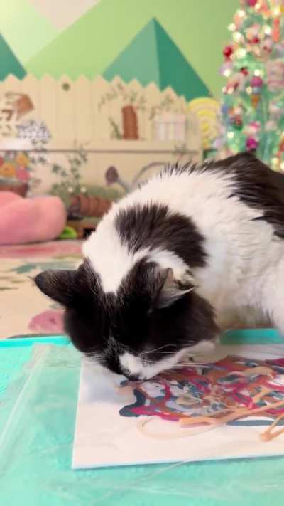 Painting with Phoebe: Kelly’s Meowsterpiece 🩷