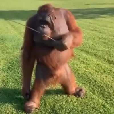 got damn look at this muffanga 👀😍😅 uncle terry’s had some rough times but he’s still fly as fuck 🪰🤯😳