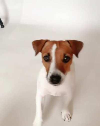 high five challange🖐🏽🤣🤣