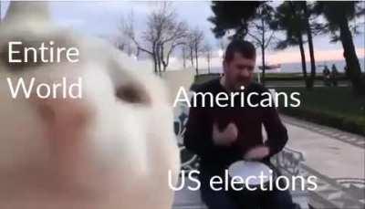Investing in US elections