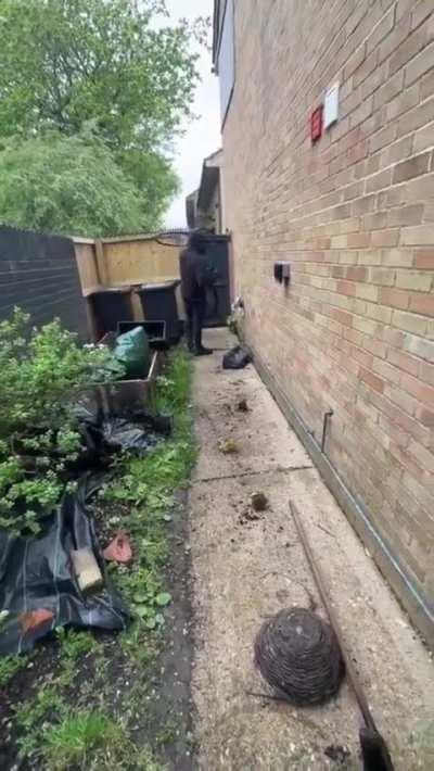 to be a master thief