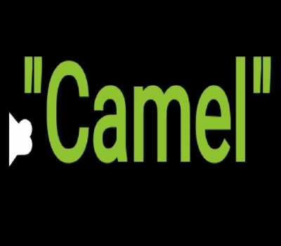 ATTENTION MY FELLOW TURKS⁉️⁉️