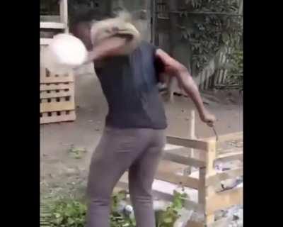 WCGW low budget K-9 training