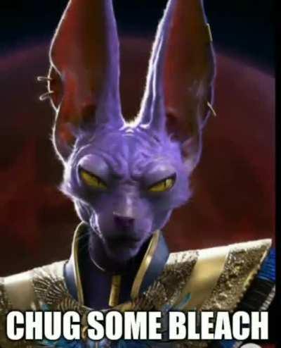 just a normal dbz episode