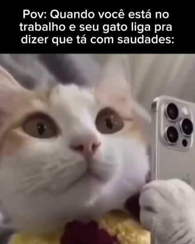 Chega aquece o coração