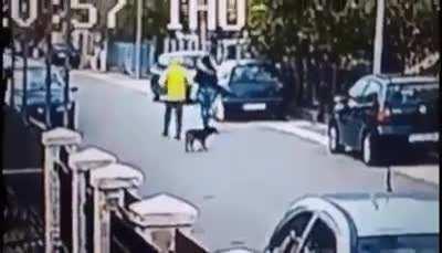 Doggo saves girl from attacker