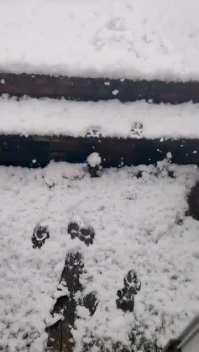 'That shit was colder than expected'