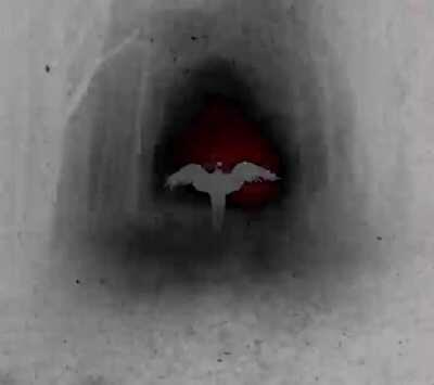 Cursed_sleep_paralysis ⚠️flash warning⚠️