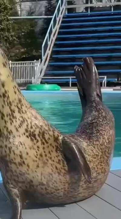 A good way to start your morning