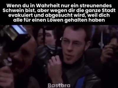 Was ein Schweinestall, diese Stadt!