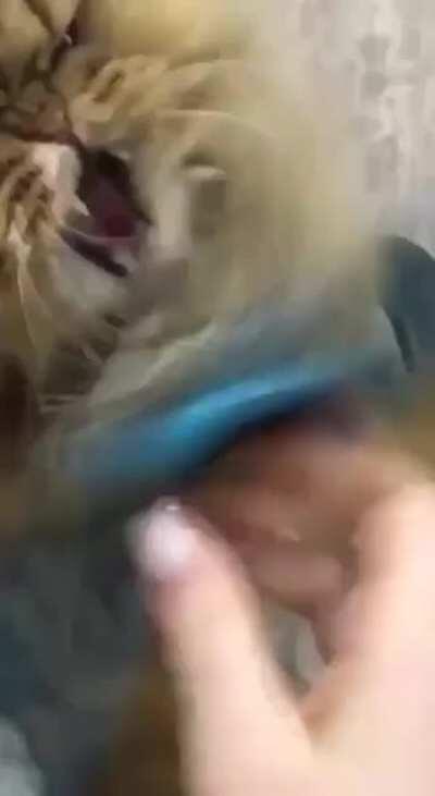 I said don’t touch me!