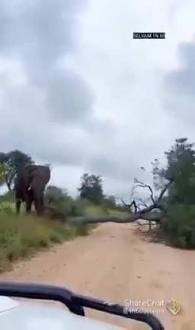 Abuse of power just to cure a small itch